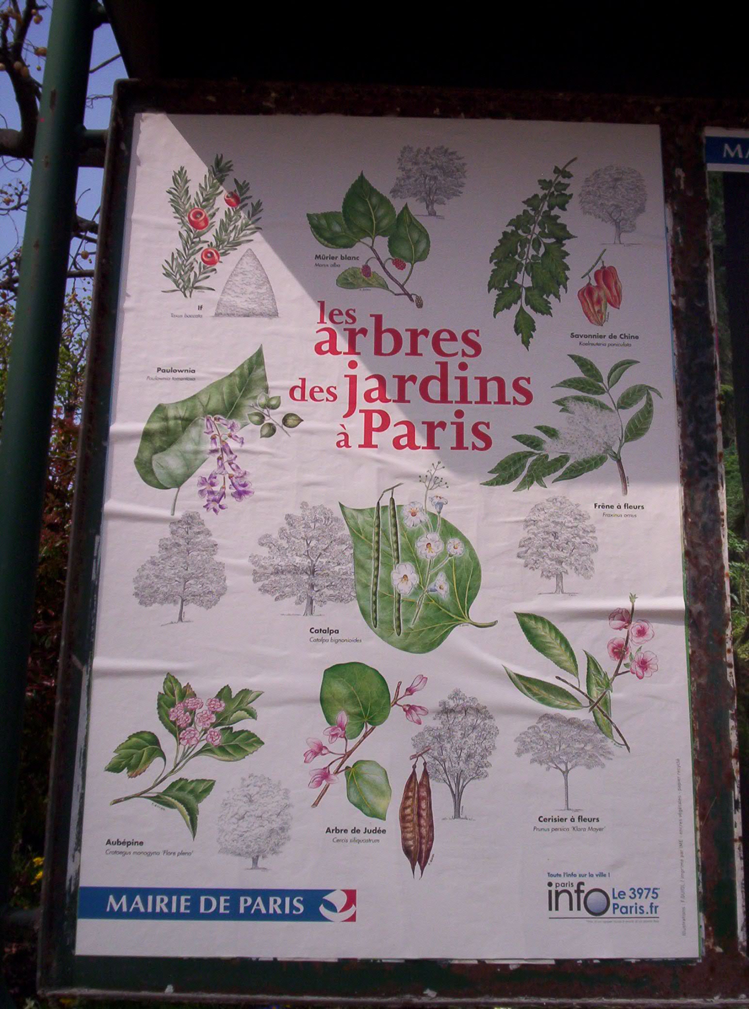 Stromy v zahradách v Paříži